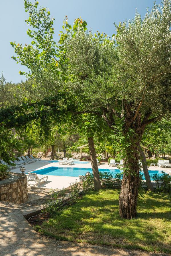 Olimpia Hotel Olympos Eksteriør billede